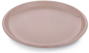 Barebones Enamel Plate