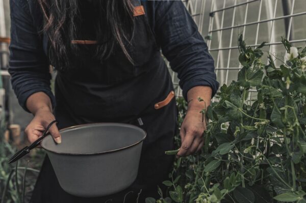 97426C53-C9A3-44BA-B481-811482550281