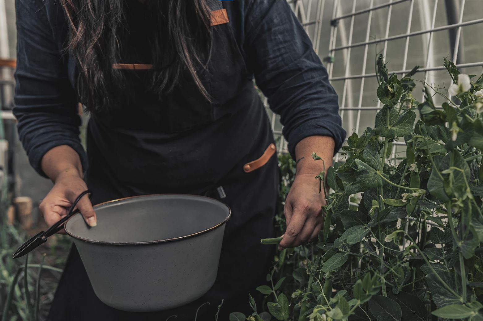 97426C53-C9A3-44BA-B481-811482550281