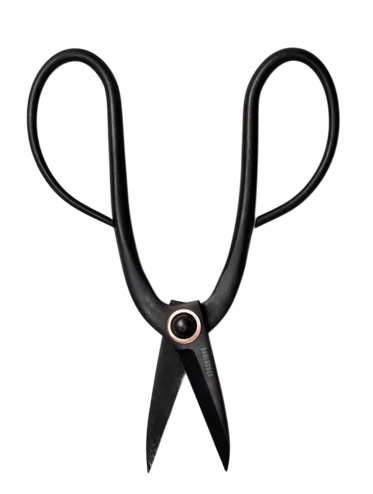 2B5F0263-EDC6-41CD-8B93-63FA81B7D6F1